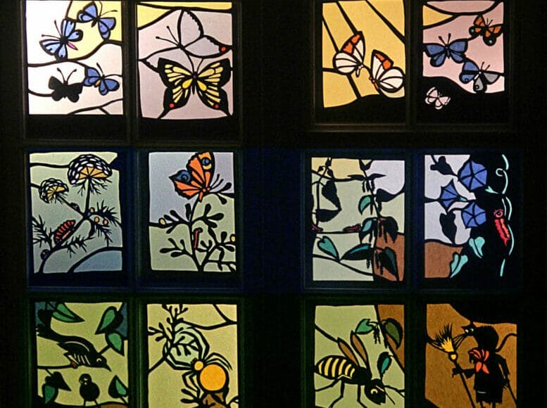 In dem beleuchteten Fenster lassen sich viele Schmetterlinge finden.