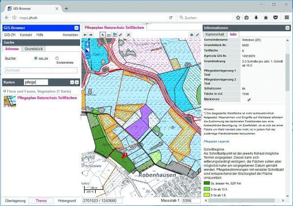 Pflegeplan im Gis.