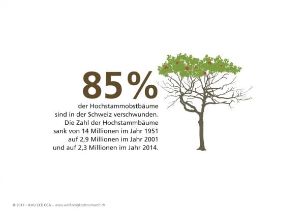 85 Prozent der Hochstammobstbäume sind in der Schweiz verschwunden.