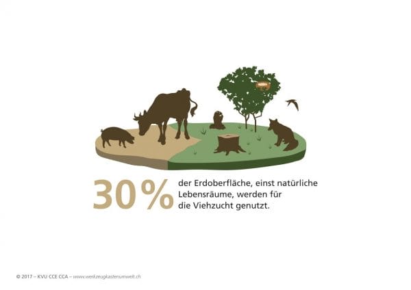 30 Prozent der Erdoberfläche wird für Viehzucht benutzt.