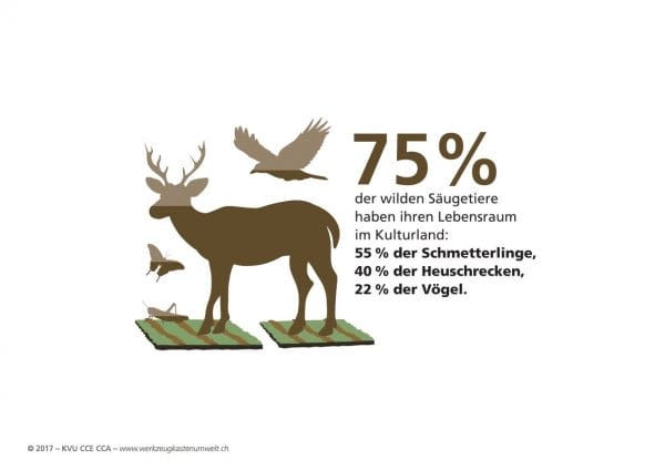 75 Prozent der Säugetiere haben ihr Lebensraum im Kulturland.