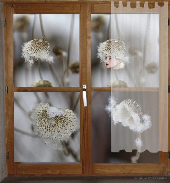 Fenster in den Garten zeigt Blumen.