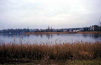 Ausblick ins Naturschutzgebiet Choller.