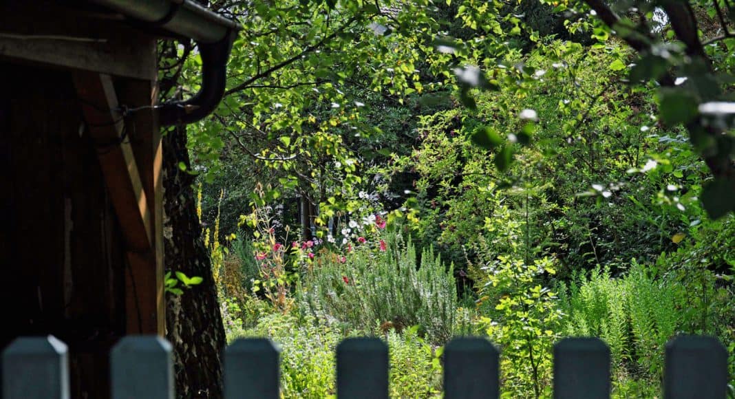 Blick in einen naturnahen Garten voll von Pflanzen, Farben und Tieren.