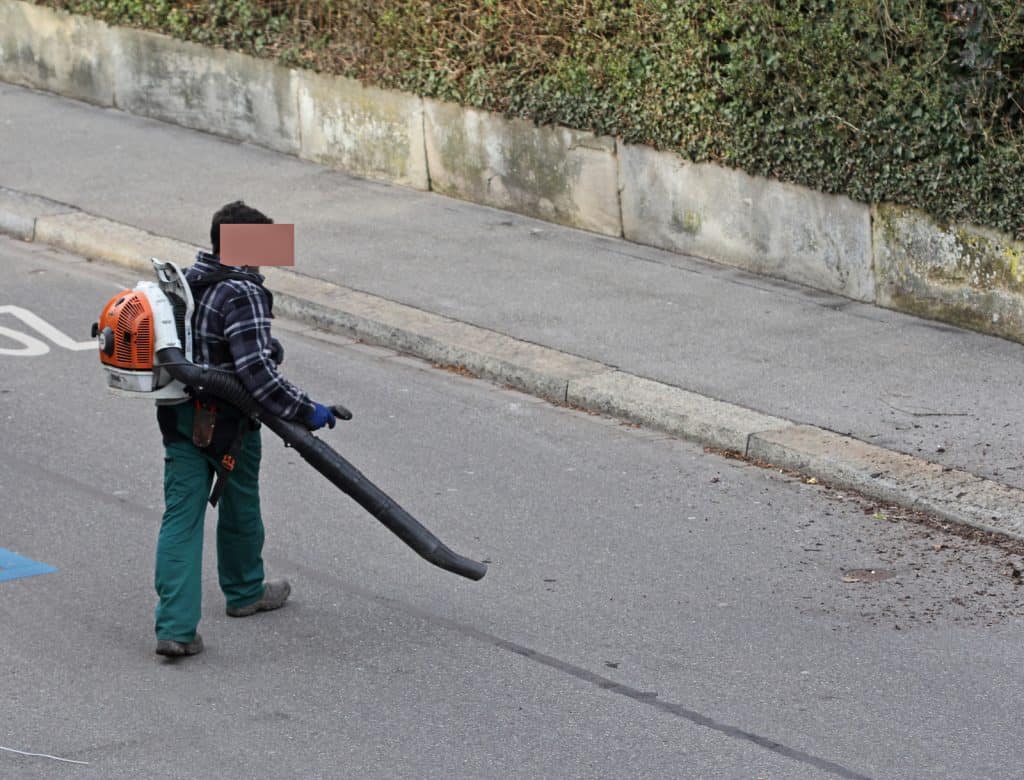 Laubbläser zerstören die Biodiversität.