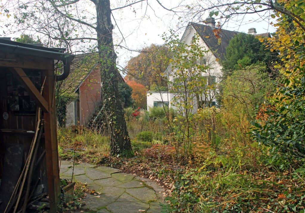 Ein naturnaher Garten sieht im Herbst immernoch wild aus.