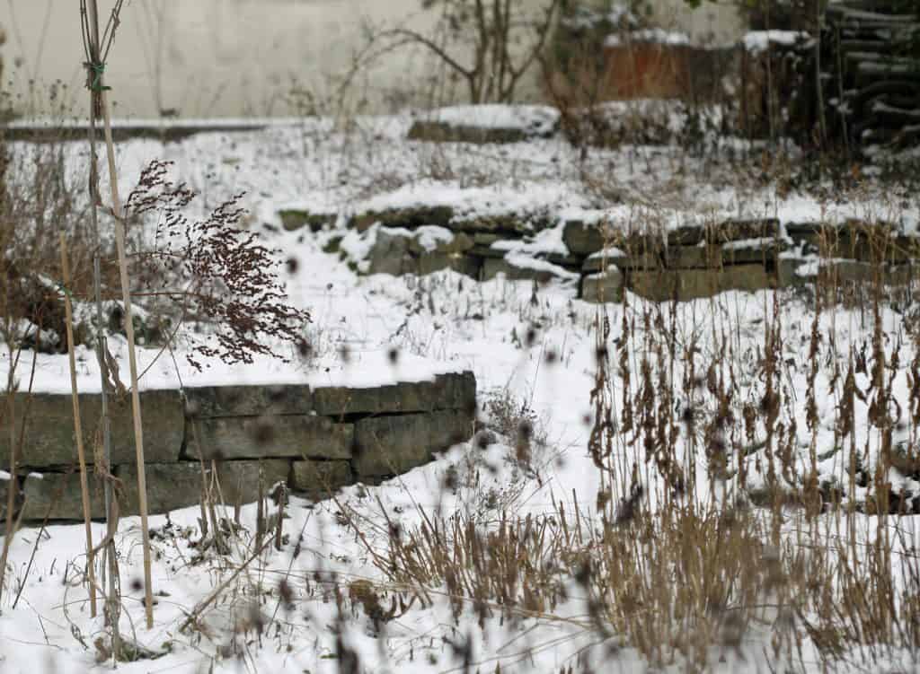 Tiere ruhen im Wintergarten.