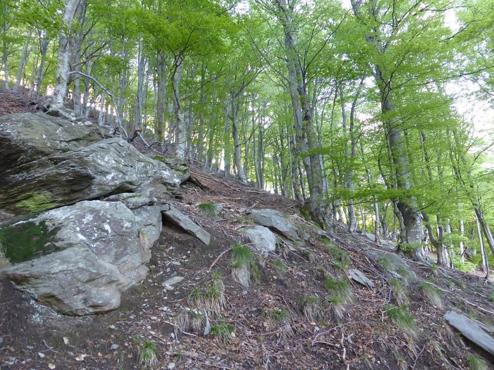 Wanderung zum Monte Ferraro.