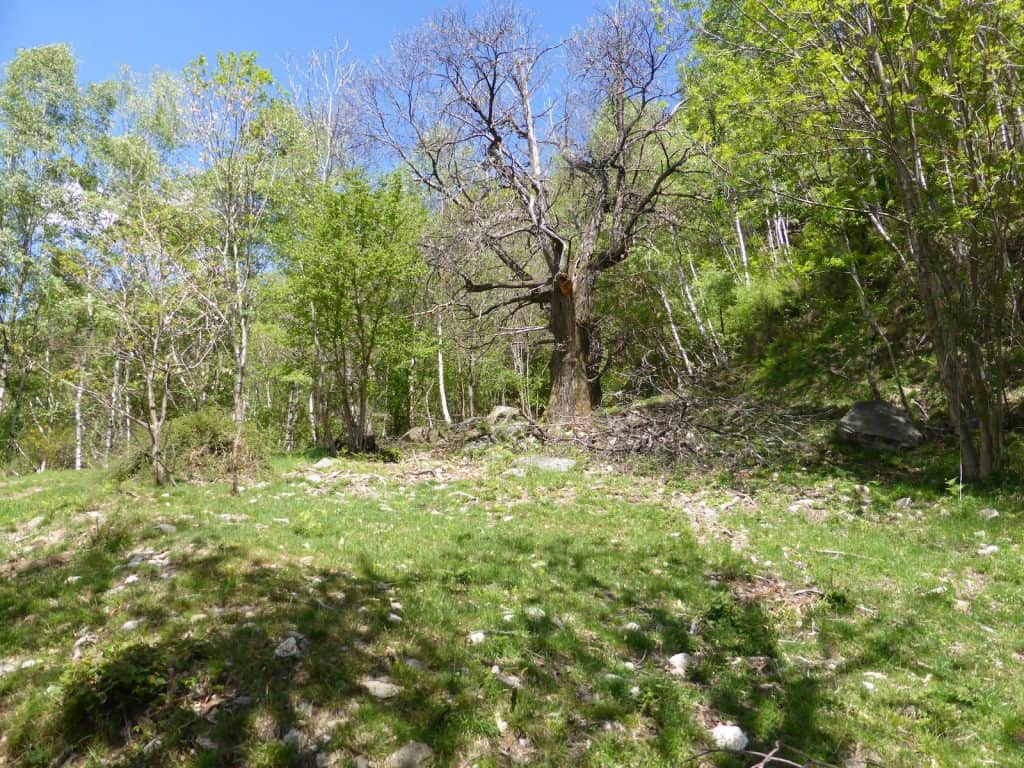 Wanderung zum Monte Ferraro.