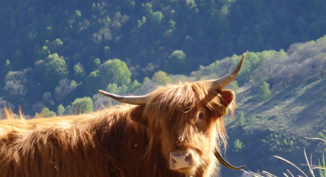 Wanderung zum Monte Ferraro.