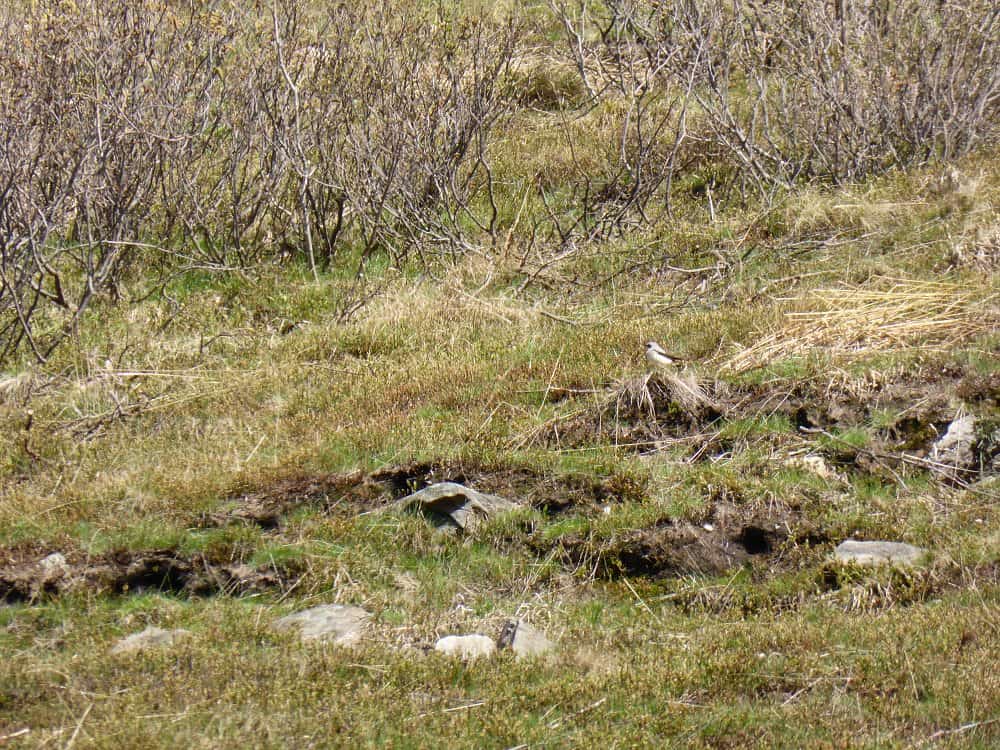 Wanderung zum Monte Ferraro.