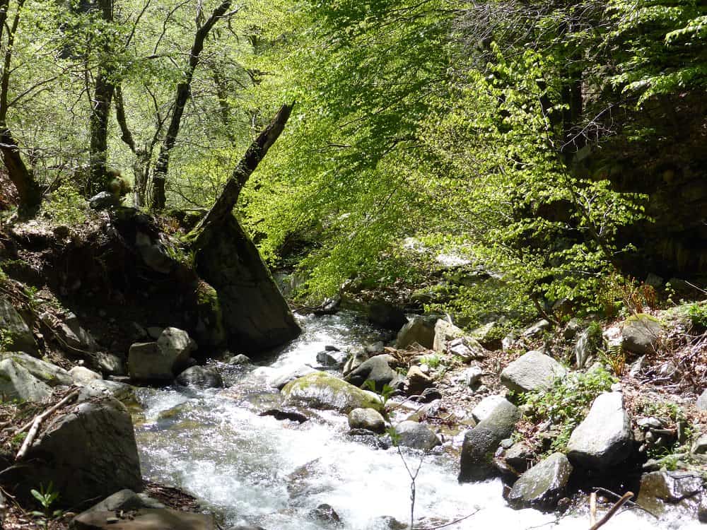 Wanderung zum Monte Ferraro.