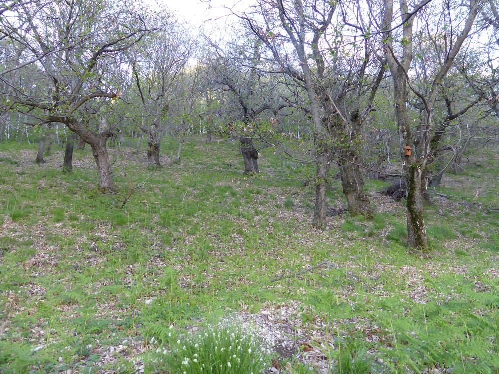 Wanderung zum Monte Ferraro.