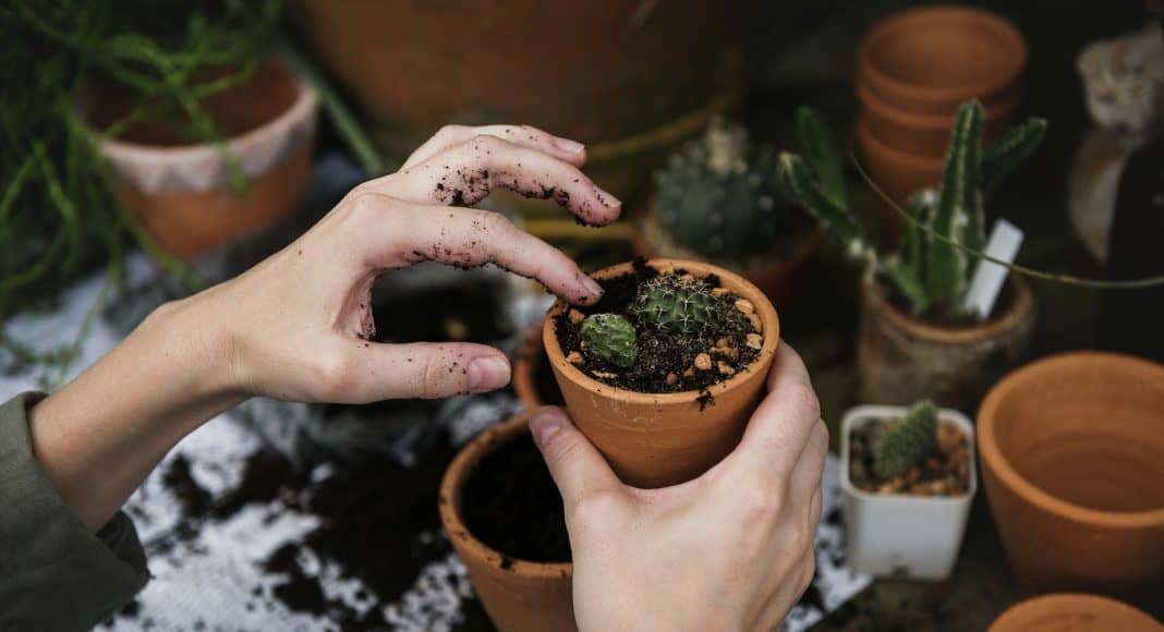Eigene umweltprojekte machen, zum Beispiel etwas anpflanzen.