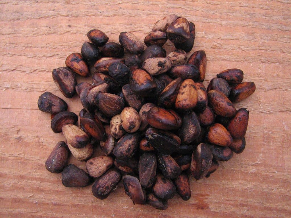 Arvensamen und ihre Verbreitung.