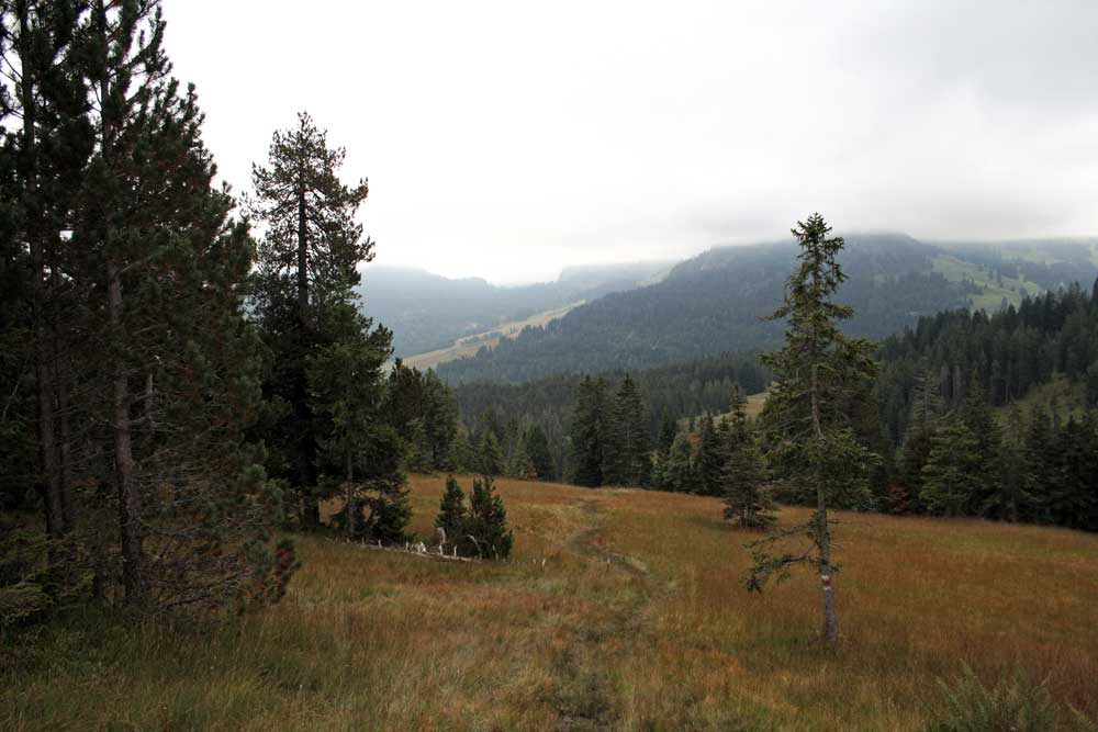 Wandertipp Moorlandschaft in der Ibergeregg.