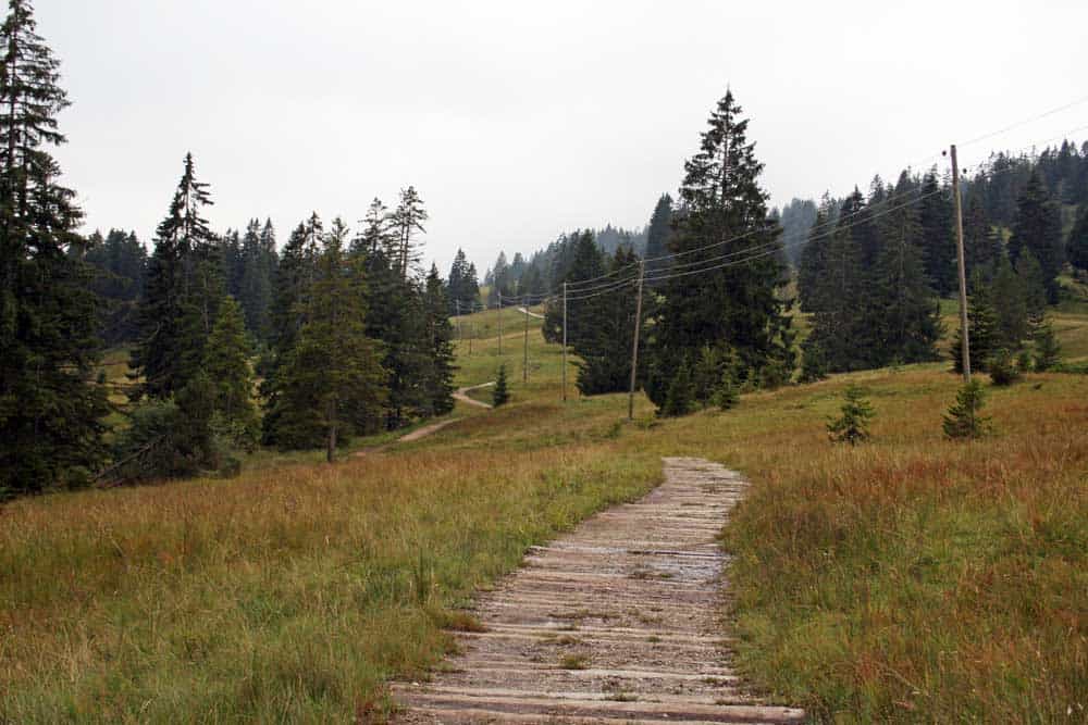 Wandertipp Moorlandschaft in der Ibergeregg.