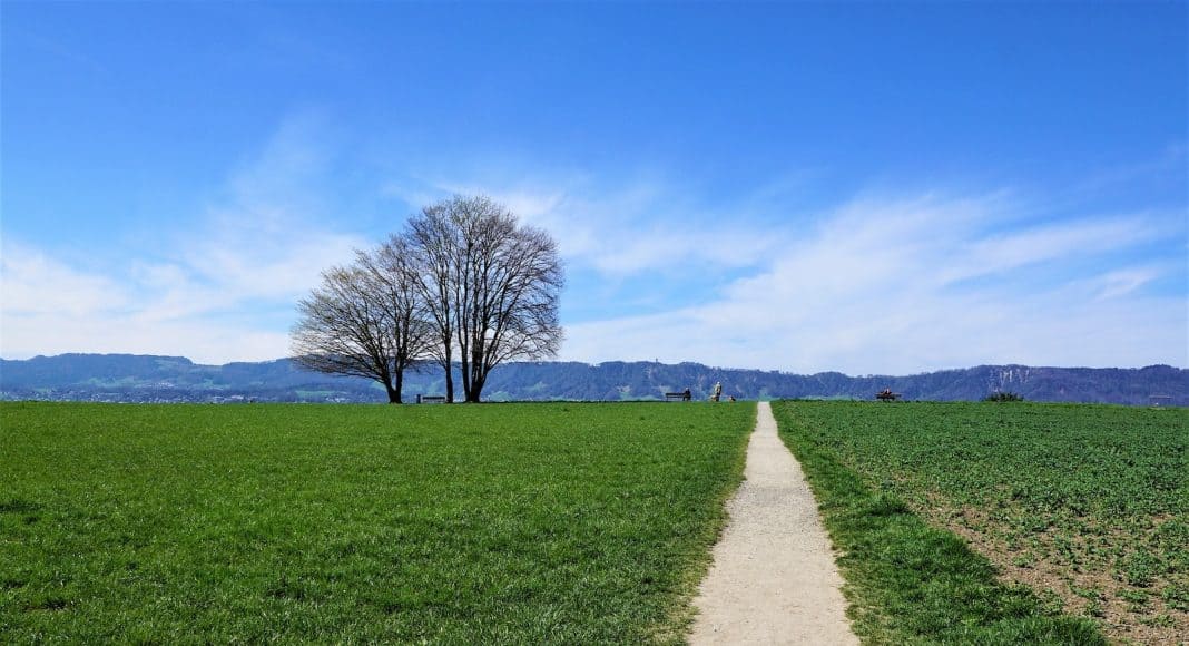 Landschaft in Zollikon.