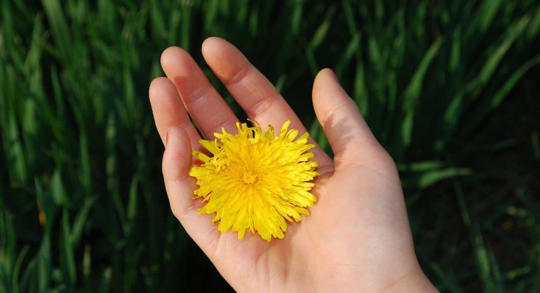 Es gibt viele Möglichkeiten nachhltig durch den Alltag zu gehen.