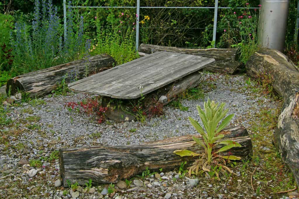 Totholz kann auch als Dekoration oder als Sitzgelegenheit genutzt werden.