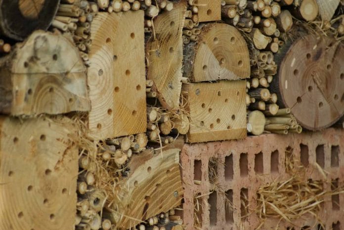 Nisthilfen für Wildbienen können auch nur Löcher im Holz sein.
