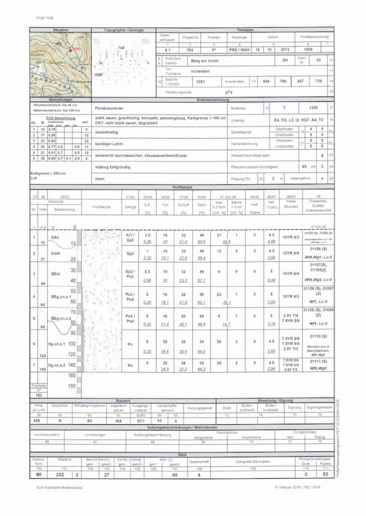 Skizze eines Bodenprofils im Irchel.