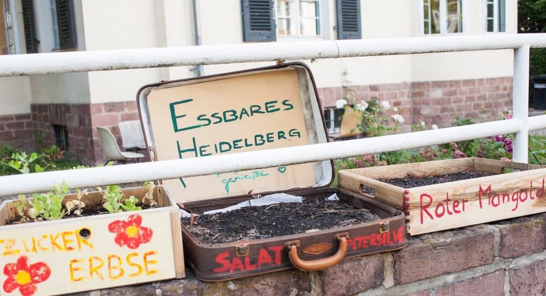 Upccling macht aus alt neu, wie dieser Koffer zu einem Gärtchen.