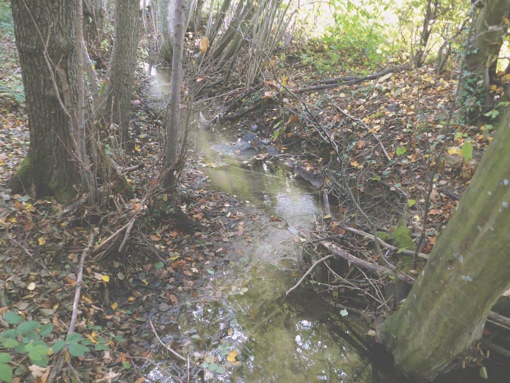 Bach soll geschützt werden.