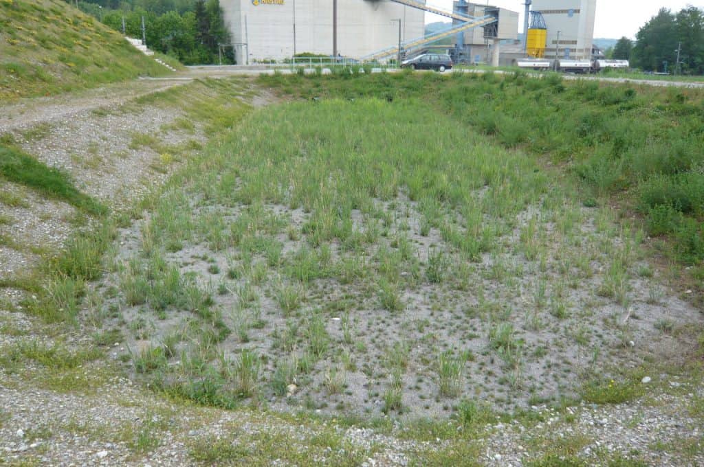 Becken Ost der SABA.