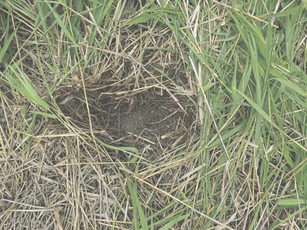 Die Filteroberfläche der Kläranlage.