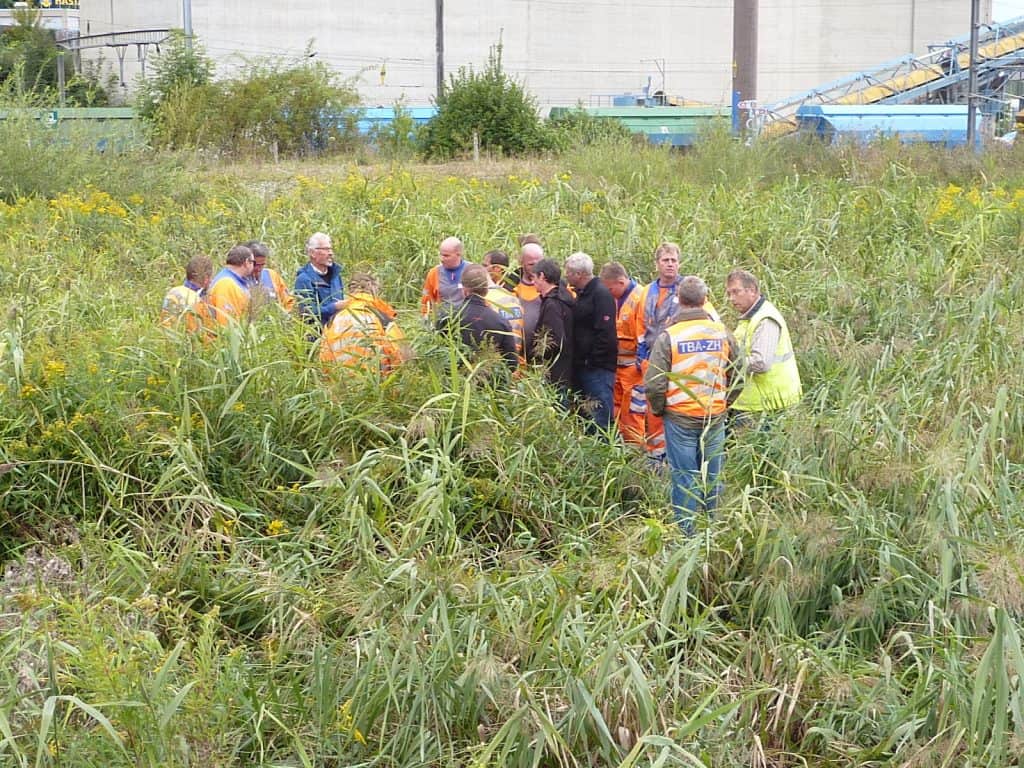 Gruppe von Menschen steht im hohen Gras.