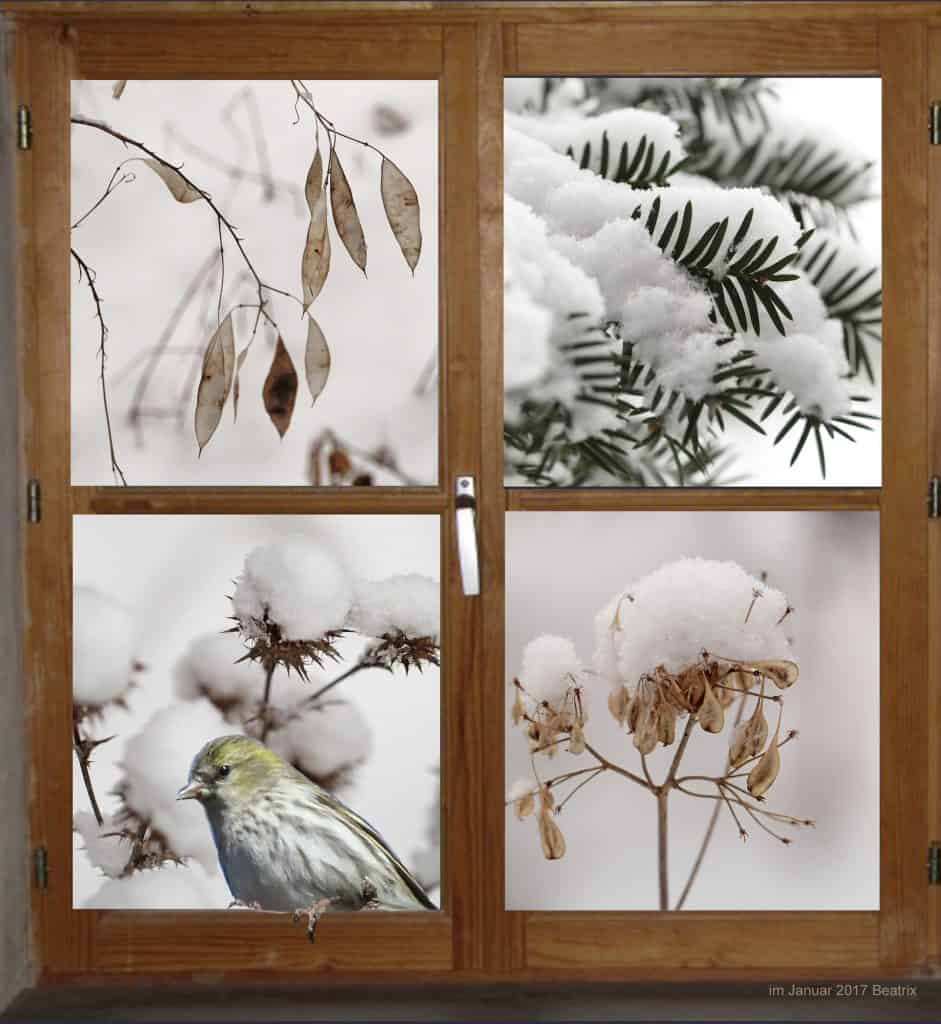 Verschneiter Garten zeigt Bäume mit Schnee und Vogel.