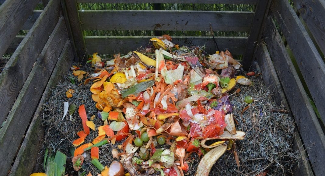 Nicht aller Plastik der als Bio angeschrieben ist, ist automatisch biologisch abbaubar.