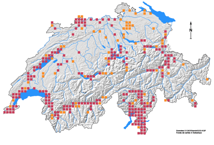Die Verbreitung des Hirschkäfers in der Schweiz.