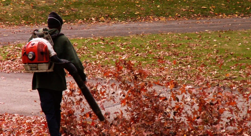 Laubbläser vernichten besonders viel Biodiversität.