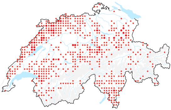 Verbreitung vom Fuchs-Greiskraut.