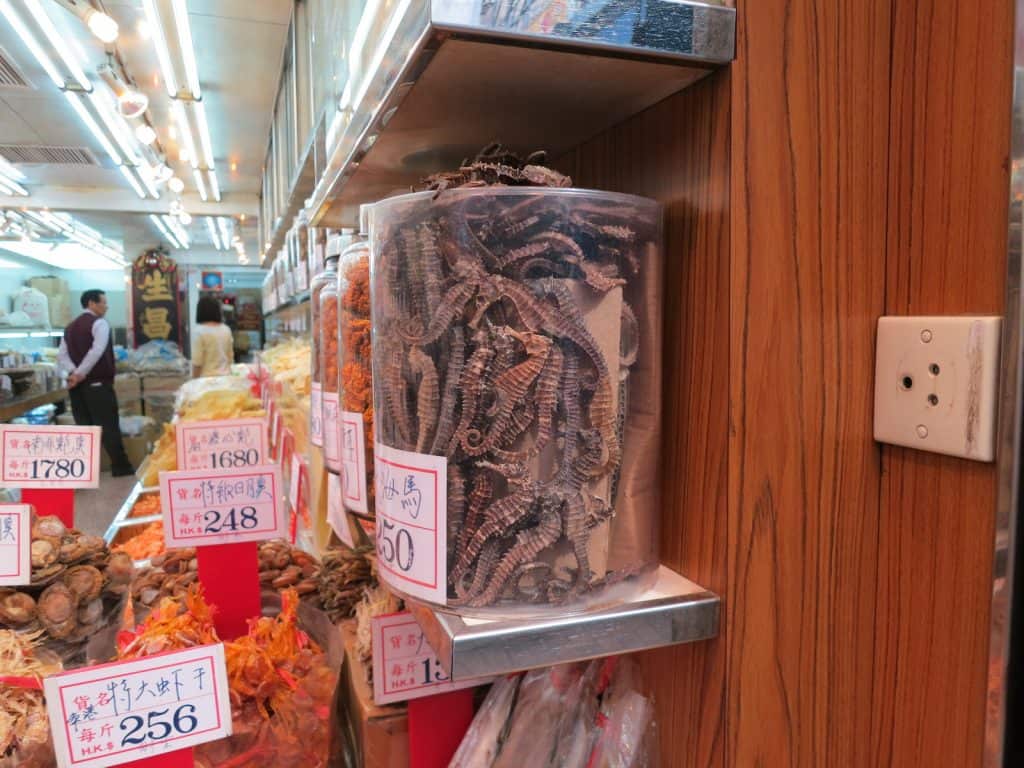 Seepferdchen werden in manchen Teilen der Welt auch gegessen.