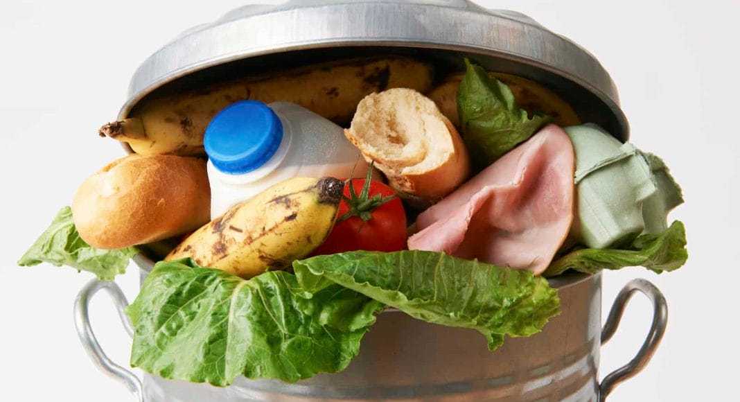 Food Waste greift um sich, wie hier die Lebensmittel im Müll.