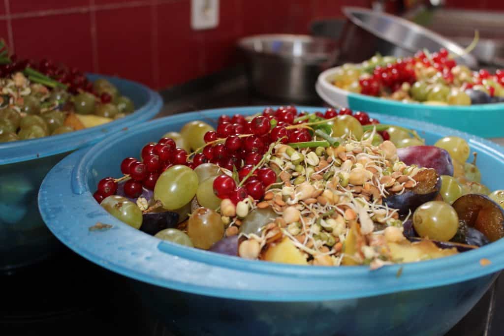 Gesunde Mahlzeit für die Papageien in der Voliere.