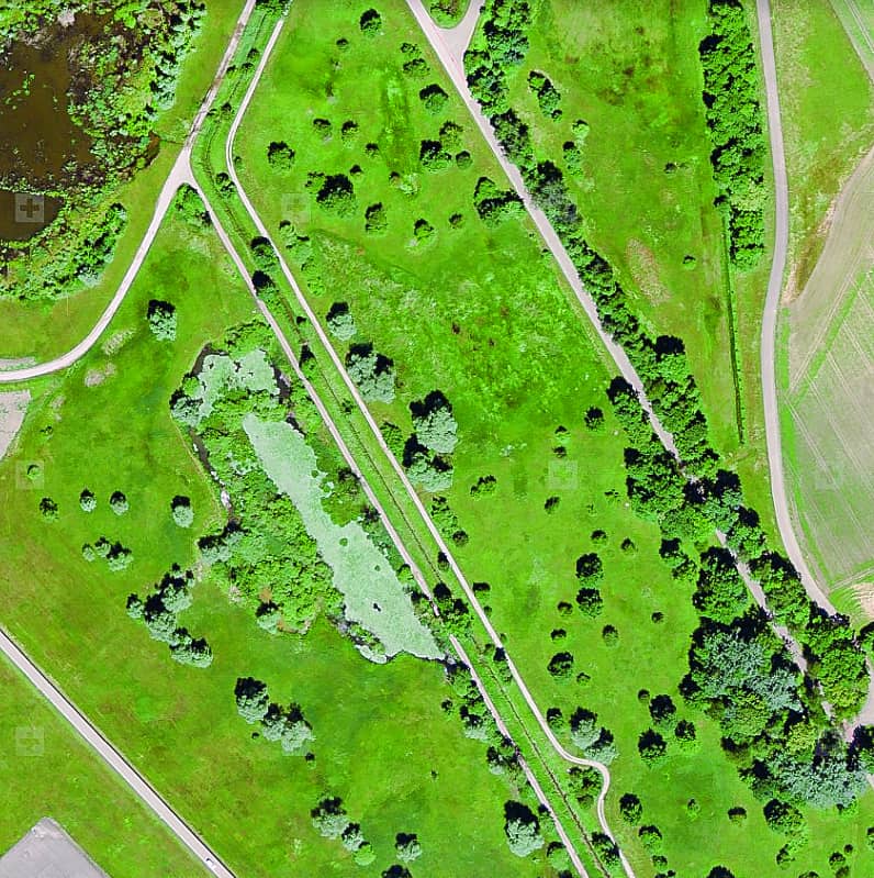 Lebensräume verändern sich durch Entbuschung.