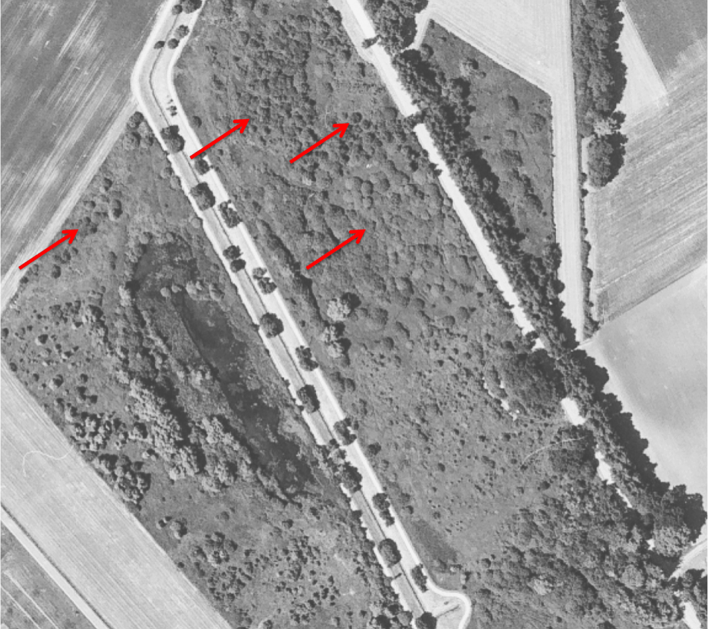 Hier sieht man die Änderung der Lebensräume durch die Entbuschung.