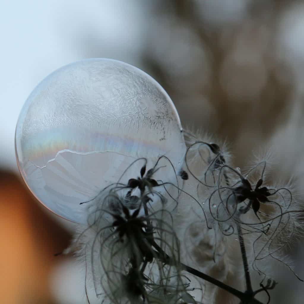 Seifenblase an Ast.