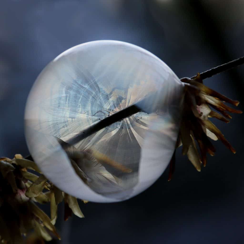Seifenblase an Ast.