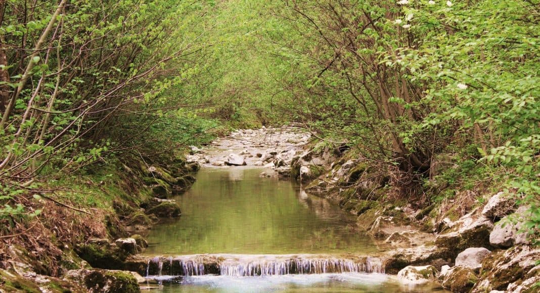 Gewässerschutz ist wichtig, damit nicht zu viel Pestizid in die Fliessgewässer gelangen.