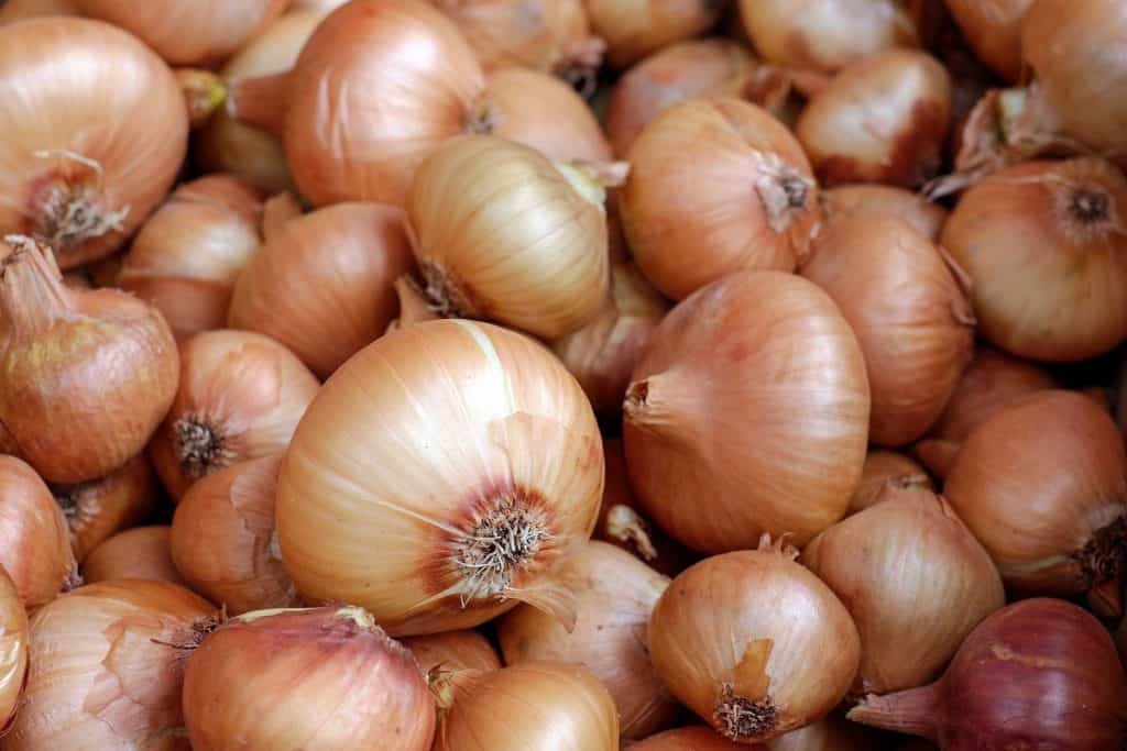 Zweibeln geben eine bräunliche Farbe beim Eier färben an Ostern.