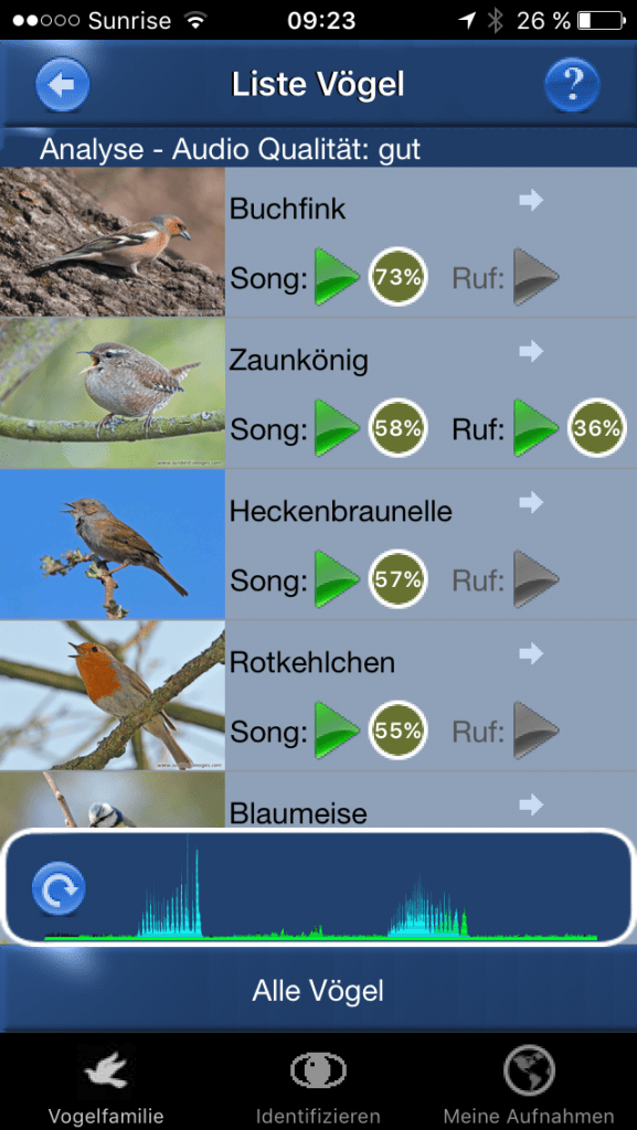 Vogelstimmen ID: Buchfink