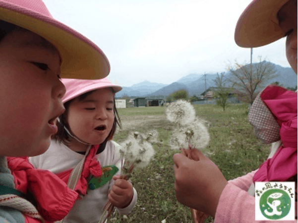 Waldkindergarten auch in Japan.