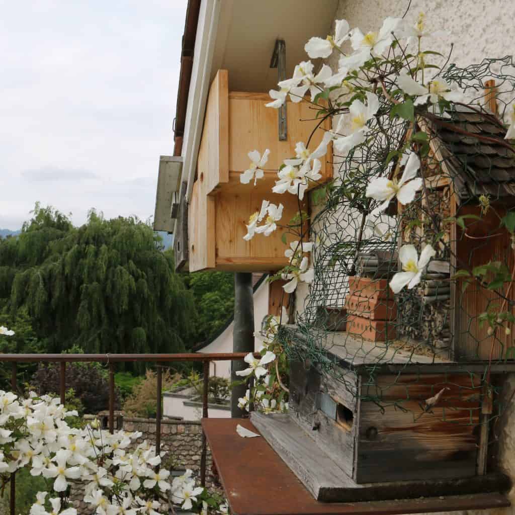 Im Vogelhäuschen nisten sich Kohlmeisen ein.