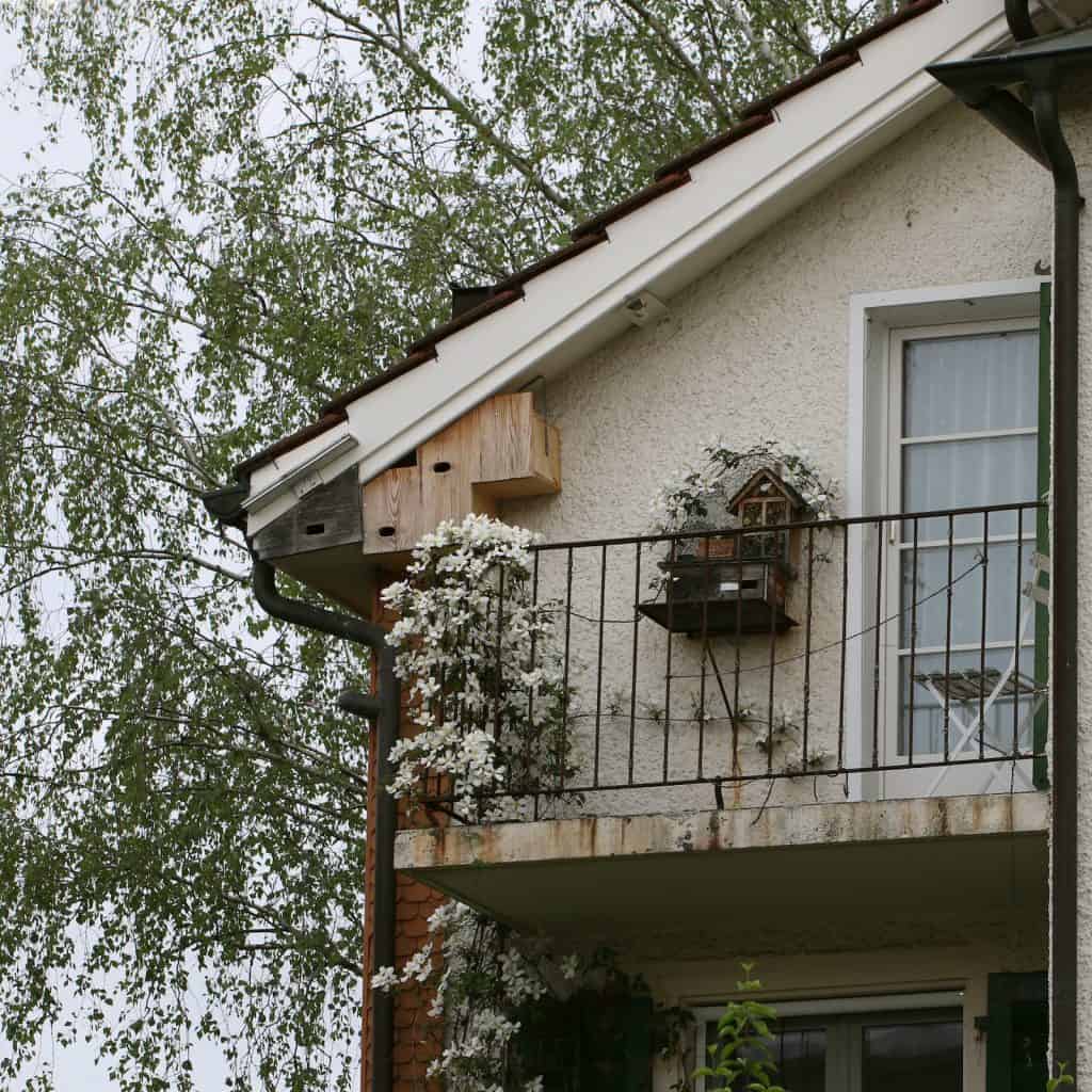Haus mit vogelhaus und Nisthilfen für Wildbienen.