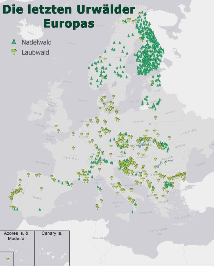 Karte mit den Urwald-Gebieten in Europa.